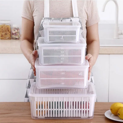 Fridge Fresh Storage Container