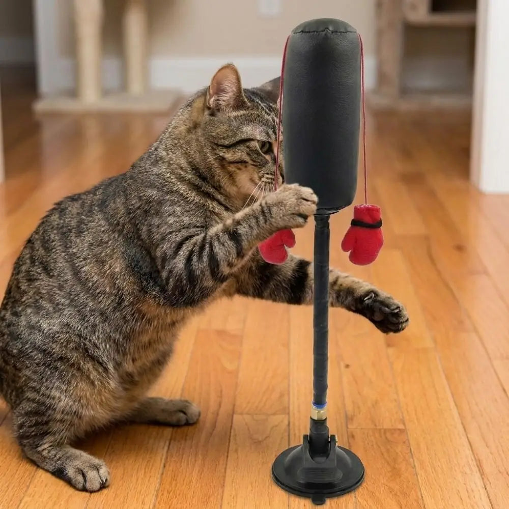 Suction Cup Cat Boxing Toy