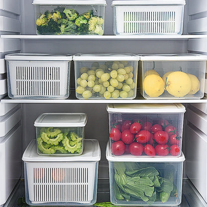 Fridge Fresh Storage Container