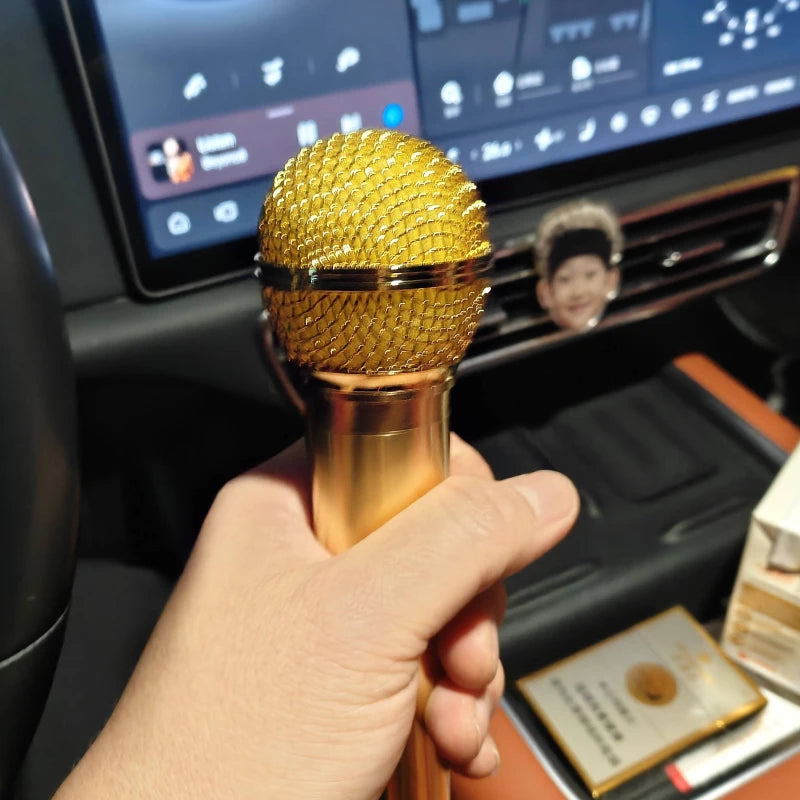 Microphone Shower Head – Novelty Aluminum Handheld