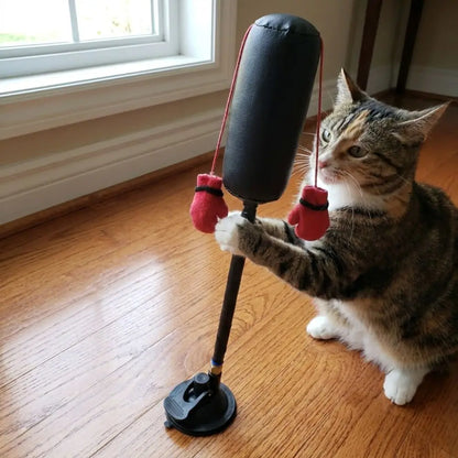 Suction Cup Cat Boxing Toy