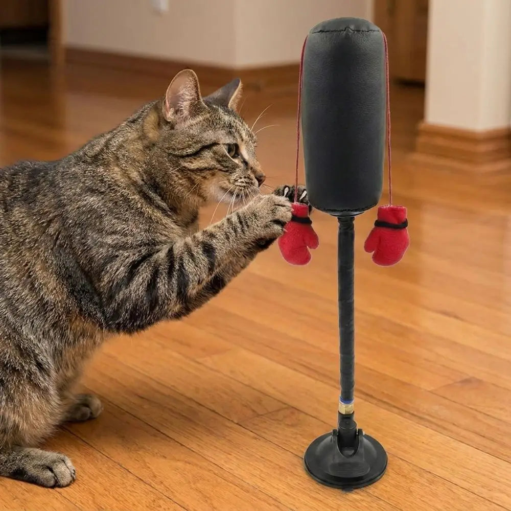 Suction Cup Cat Boxing Toy