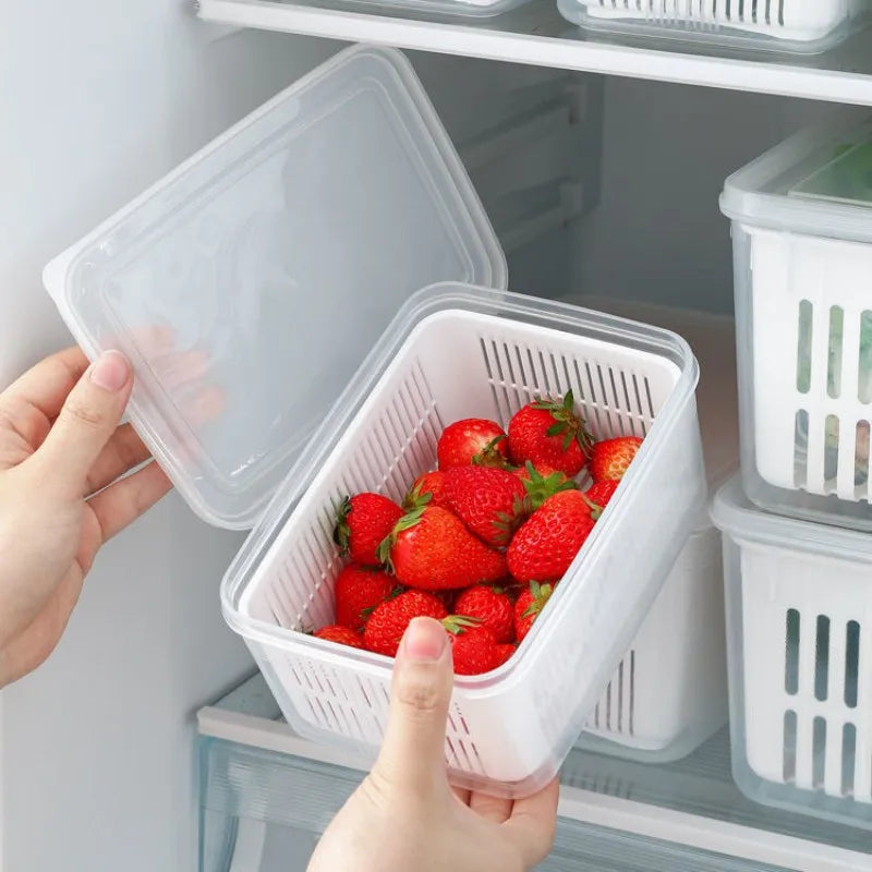 Fridge Fresh Storage Container